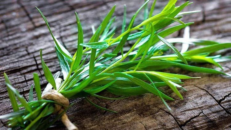 Because Tarragon has a mild flavor, it can be used in many dishes