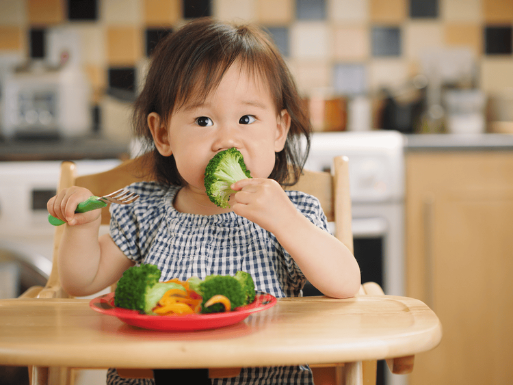 Khi bước sang giai đoạn 34 tháng tuổi, cơ thể của trẻ sẽ có sự phát triển nhanh và dần trưởng thành