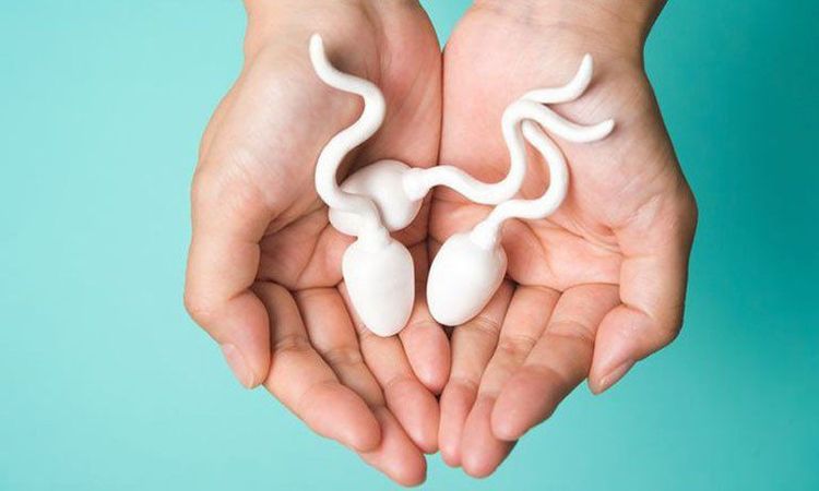 Chất lượng tinh trùng được đánh giá thông qua các chỉ số cụ thể