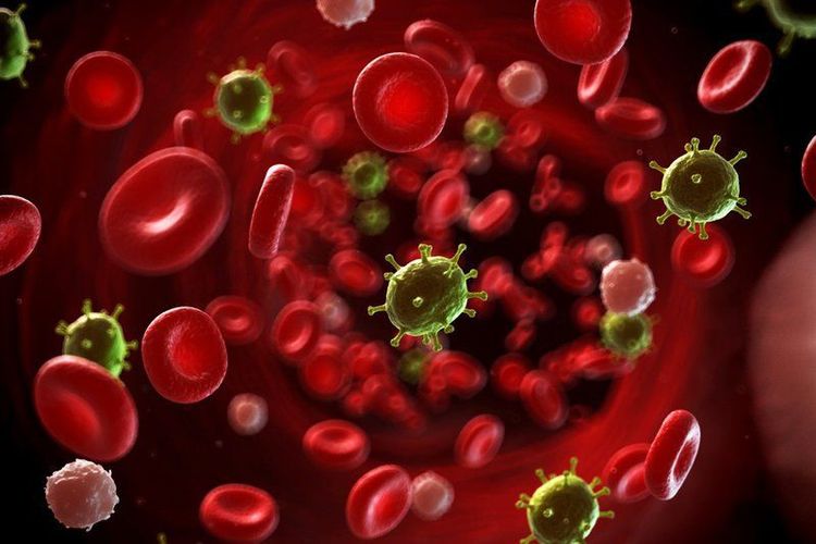 Bee Pollen May Have Applications in Cancer Treatment and Prevention
