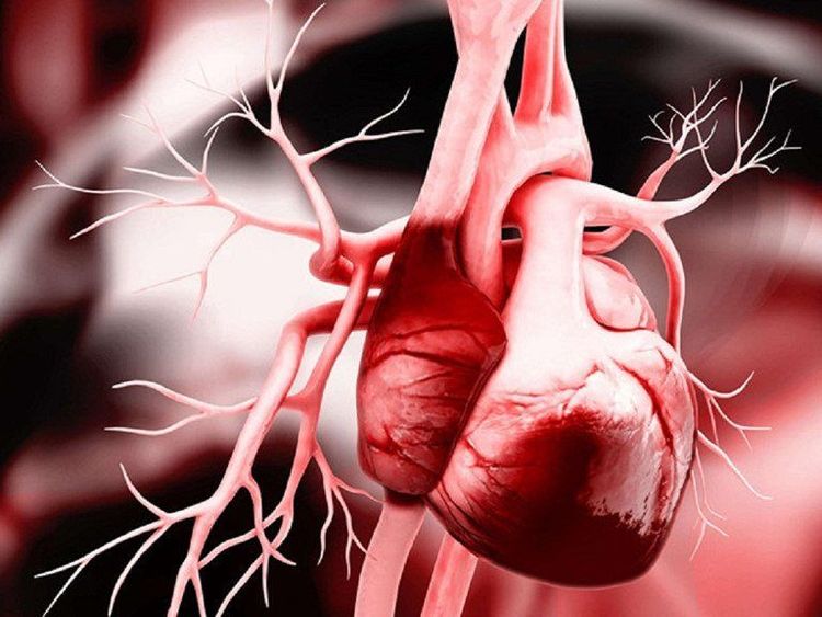 Chế độ dinh dưỡng phù hợp có thể làm giảm nguy cơ tim mạch như nhồi máu cơ tim, đột quỵ,...