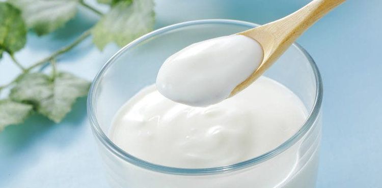 Sữa chua là một nguồn thực phẩm rất giàu protein