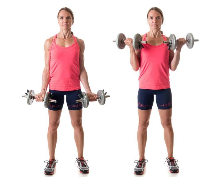 Bài tập bicep curl