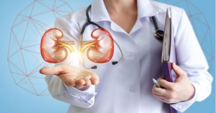 Vitamin PP is thought to be beneficial for chronic kidney disease
