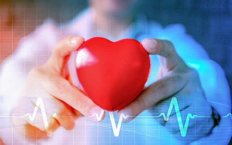 Frequent contact with vibrations can increase the risk of metabolic cardiovascular issues
