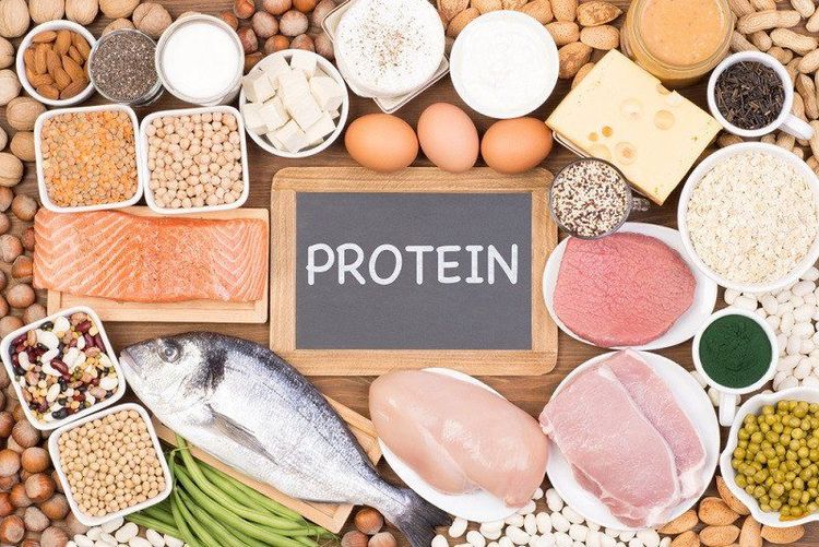 Bổ sung protein vào chế độ ăn có thể giúp bạn giảm cân sau khi mang thai