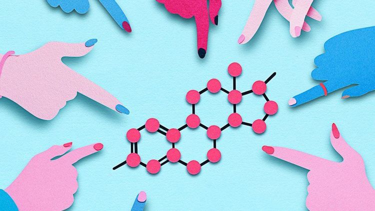Lead in cosmetics can affect the user's hormones.