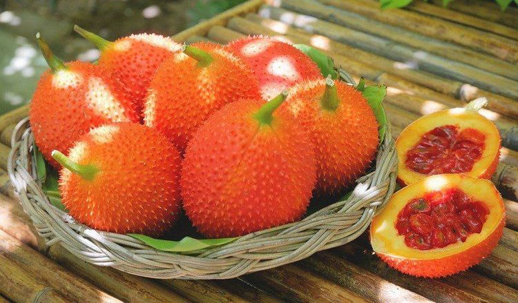 The composition of gac fruit contains many nutrients and vitamins essential for the body.
