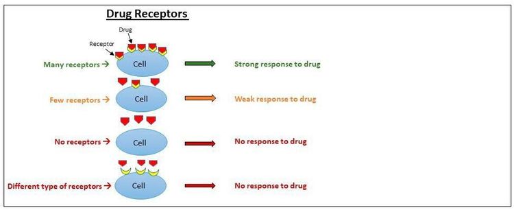 Hoạt động của pharmacogenomics