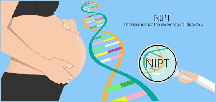 Xét nghiệm sàng lọc trước sinh không xâm lấn (NIPT)
