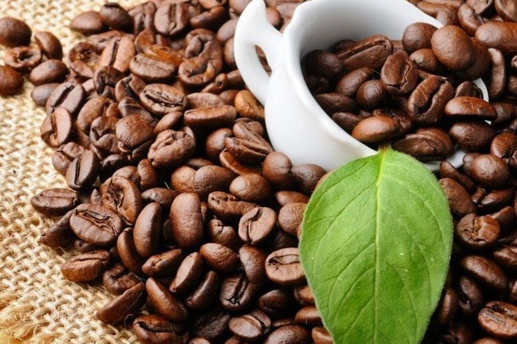 In response to the question regarding coffee's potential harm to the liver, it is essential to consume coffee in a rational and scientific manner.