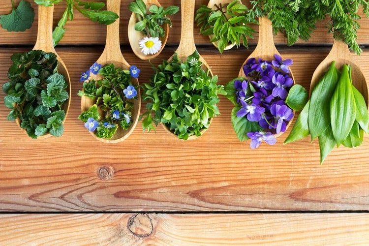 Điều trị đau lưng theo Y Học Cổ Truyền với một số bài thuốc cổ truyền