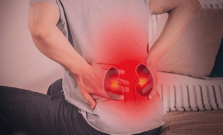 Using kidney supplements helps reduce or limit dangerous symptoms