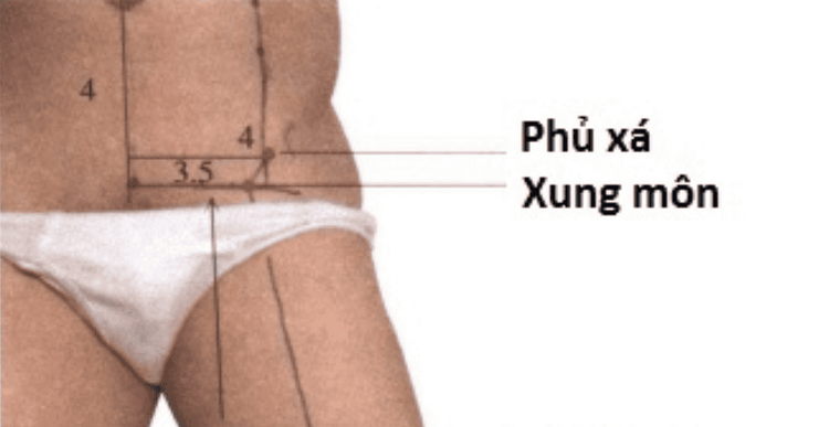 Hinh ảnh vị trị trí của huyệt phủ xá