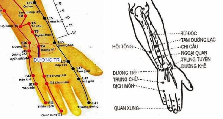 Hình ảnh mô tả vị trí huyệt dương trì