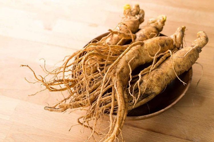 
Nhân sâm là loại thảo dược tốt cho người huyết áp thấp
