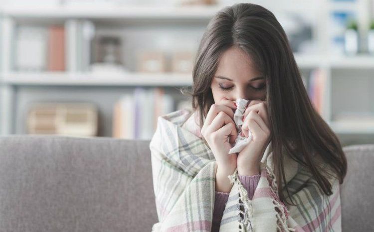 Chữa bệnh sốt rét là tác dụng cây thường sơn