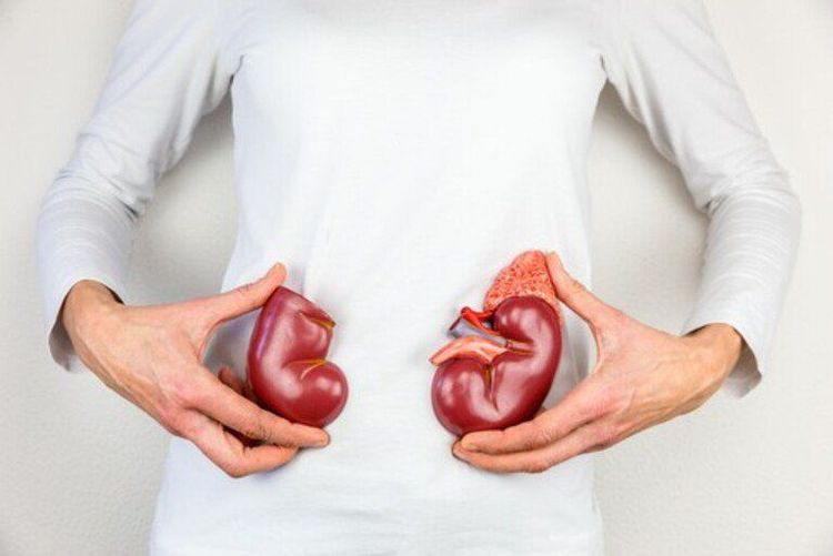 Patients with renal impairment are contraindicated for the use of Alumina.