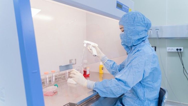 Một công đoạn trong quá trình nuôi cấy tế bào miễn dịch tự thân tại Vinmec