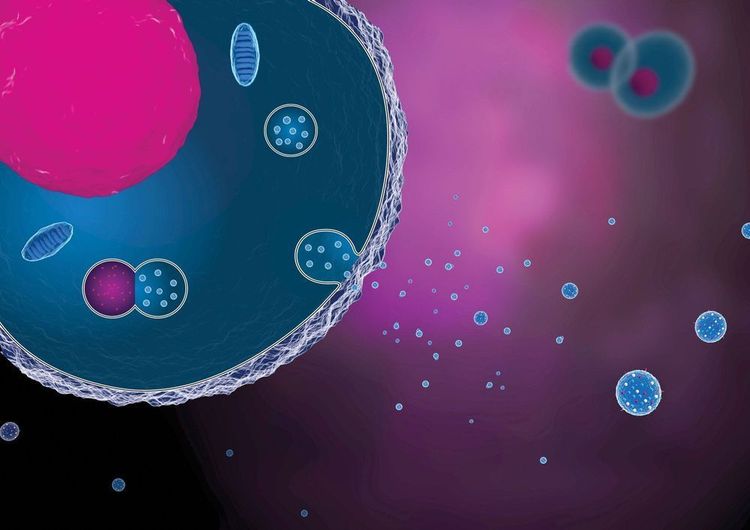 Sự khác biệt giữa Exosome và tế bào gốc nằm ở những đặc tính bản chất hoàn toàn khác biệt