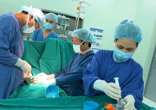 Những dấu ấn quan trọng của GS Nguyễn Thanh Liêm trong lĩnh vực Tế bào gốc