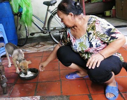 Sức sống mới của người phụ nữ phải "mổ khẩn trương" nhưng "trường kỳ trốn viện"