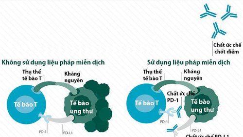 Sự so sánh giữa sử dụng và không sử dụng liệu pháp miễn dịch.