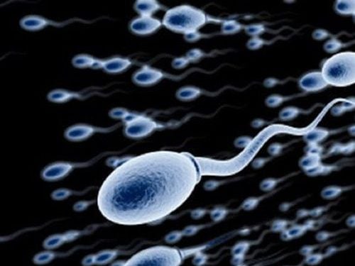 Obese men are at risk of reduced sperm production
