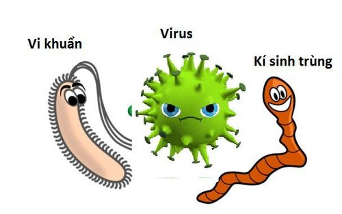Microorganisms like bacteria, viruses, and parasites can lead to cellular damage.