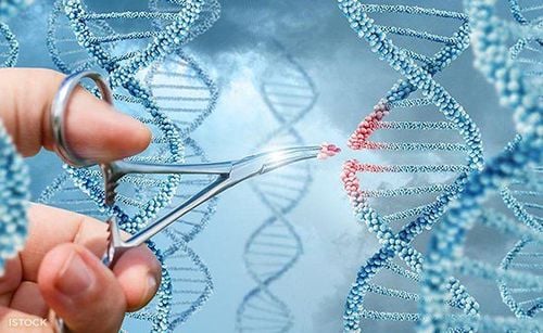
Hội chứng Galloway-Mowat là một rối loạn di truyền hiếm gặp
