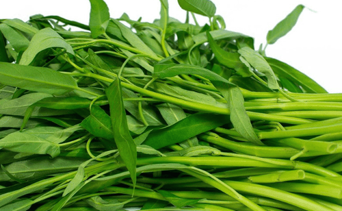 Water spinach is a vegetable that contains many essential elements and nutrients

