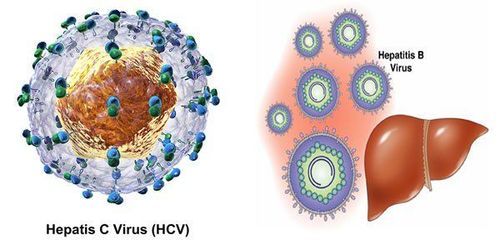 HCV