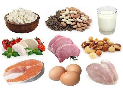 9 important functions of protein for the body