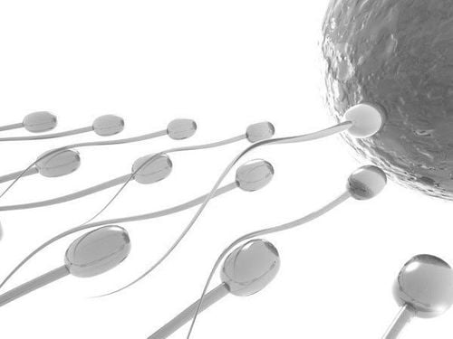 Vitamin E is beneficial for men's reproductive health