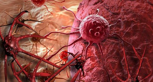 At what temperature do cancer cells die?