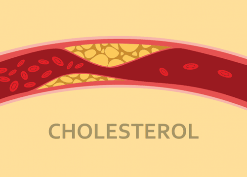 Estrogen giúp kiểm soát mức cholesterol trong máu