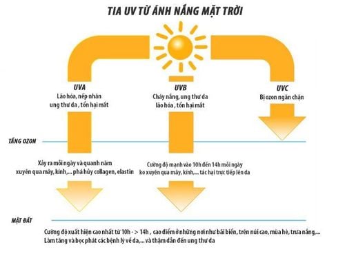 UV rays are classified into three types: UVC rays, UVA rays, and UVB rays.