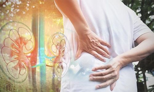 The blood urea nitrogen (BUN) test is indicated when it is necessary to assess the functioning of the liver and kidneys.