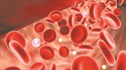 Iron is essential for the formation of blood cells.