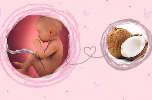 The baby is the size of a young coconut

