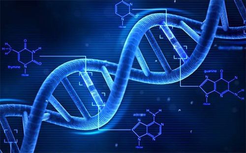 Mỗi gen là một phần của quá trình cho phép tế bào duy trì cân bằng nội môi - trạng thái ổn định