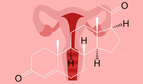 Progesterone giúp điều chỉnh chu kỳ kinh nguyệt hàng tháng