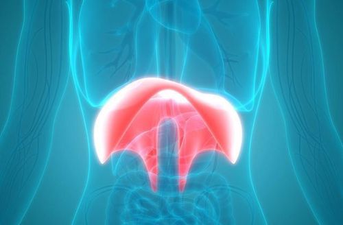 Diaphragmatic dysfunction can cause shortness of breath and hiccups