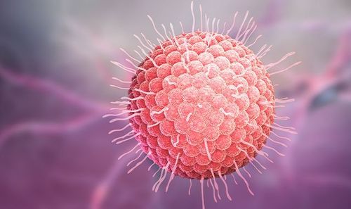 Hình ảnh virus gây bệnh thủy đậu