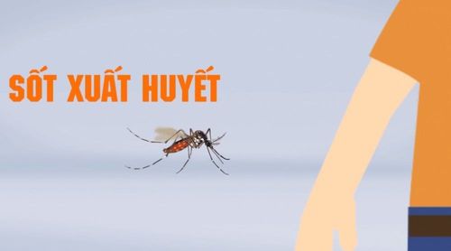 Which season is most prone to Dengue Fever? 