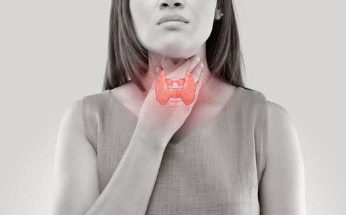 Suy tuyến cận giáp sẽ phá vỡ sự cân bằng tỷ lệ giữa canxi và photpho