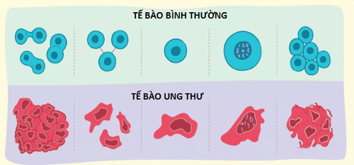 Not everyone contains cancer cells in their body.