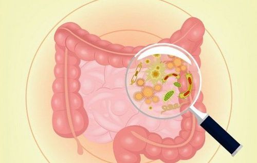 Taro root is rich in resistant starch that supports gut health.
