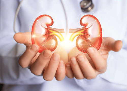 Bệnh nhân suy thận chống chỉ định dùng thuốc nhóm này