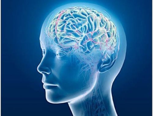 Memory decline severely impacts brain function.